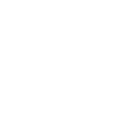 Ari Schickman Logo (2)